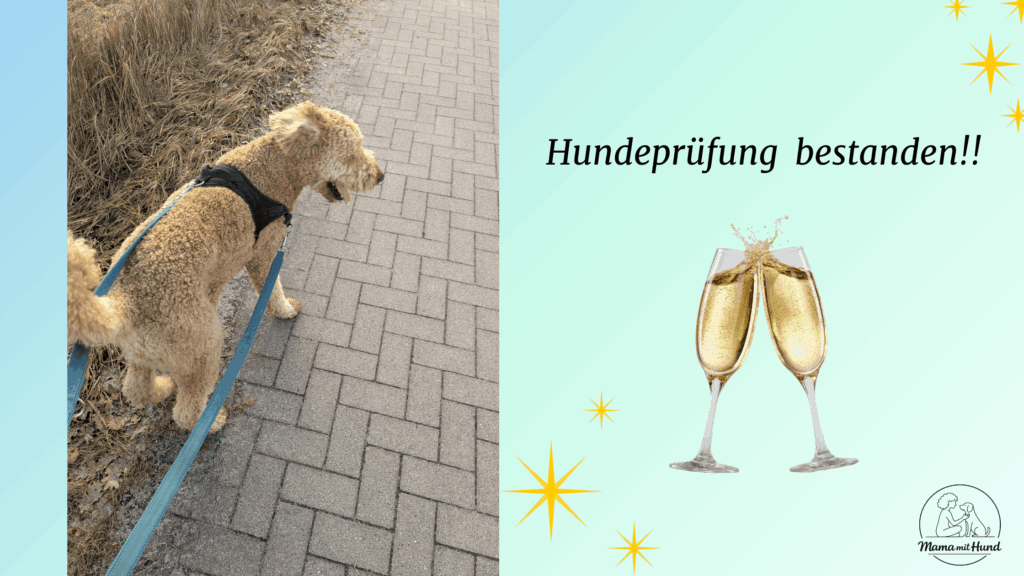 Hundeprüfung Niedersachen