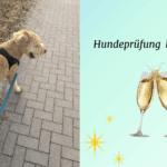 Hundeprüfung Niedersachen