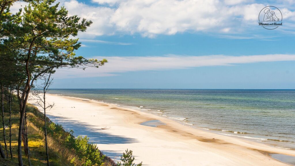 Ostsee mit Hund